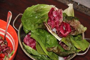 Radicchio Salat vom Strohballen